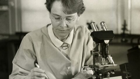 1280px Barbara McClintock %281902 1992%29 shown in her laboratory in 1947