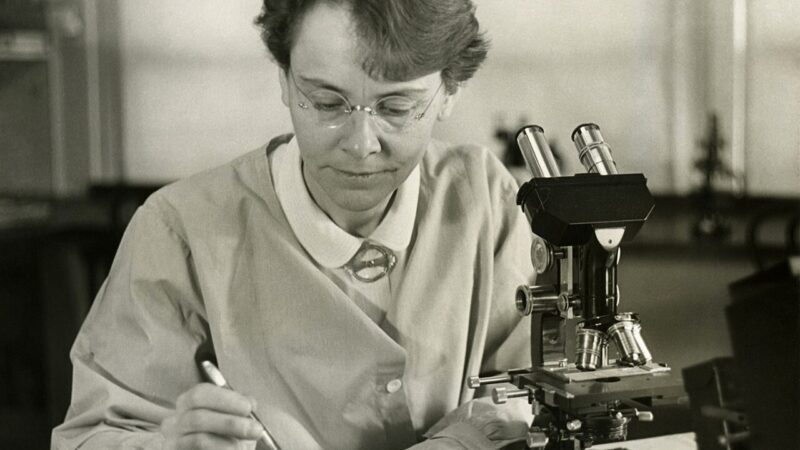 1280px Barbara McClintock %281902 1992%29 shown in her laboratory in 1947